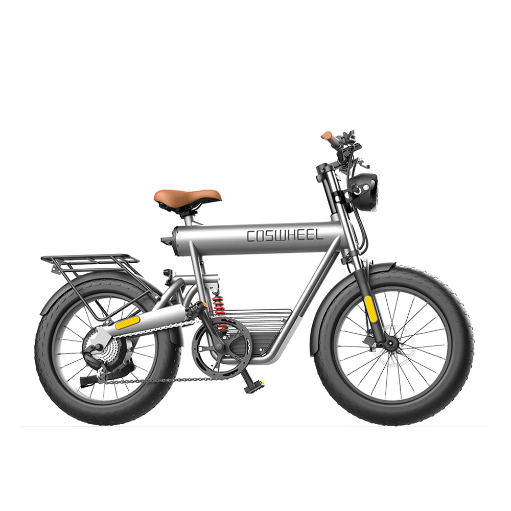 coswheel t20 price